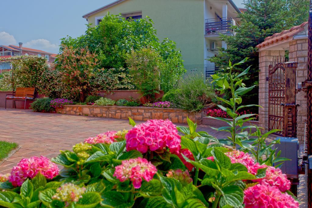 Apartments Daniela Novigrad  Ngoại thất bức ảnh