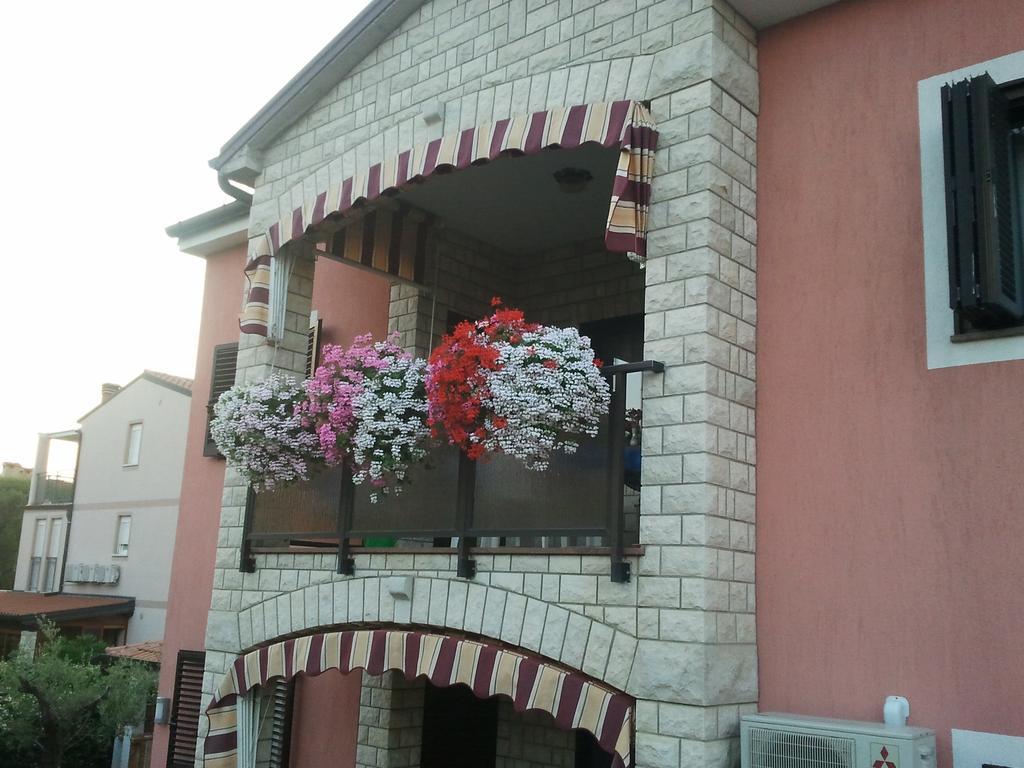 Apartments Daniela Novigrad  Ngoại thất bức ảnh